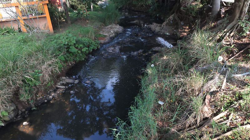 Río en La Estanzuela